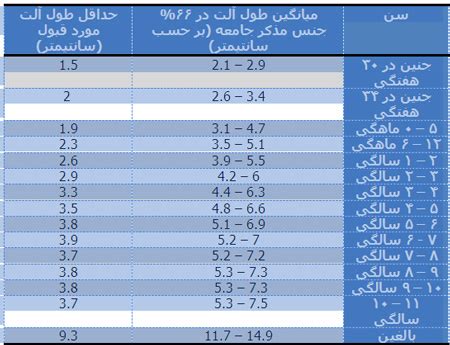 اندازه آلت انسان